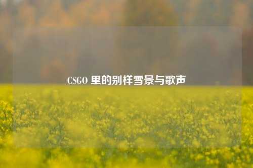 CSGO 里的别样雪景与歌声