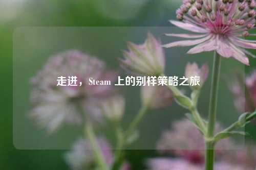 走进,Steam 上的别样策略之旅