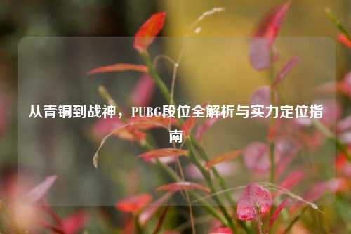 从青铜到战神，PUBG段位全解析与实力定位指南