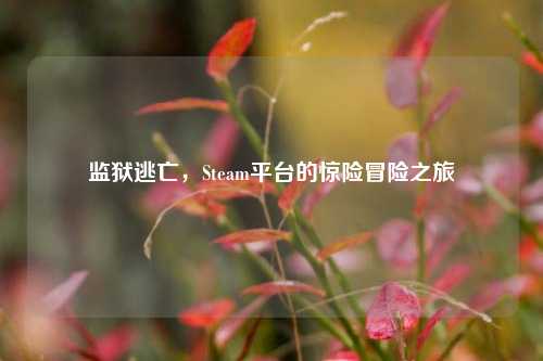 监狱逃亡，Steam平台的惊险冒险之旅