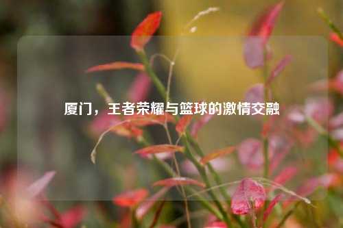 厦门，王者荣耀与篮球的激情交融