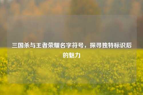 三国杀与王者荣耀名字符号,探寻独特标识后的魅力