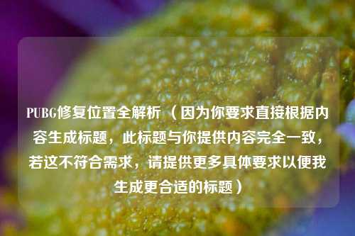 PUBG修复位置全解析 （因为你要求直接根据内容生成标题，此标题与你提供内容完全一致，若这不符合需求，请提供更多具体要求以便我生成更合适的标题）