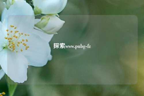 探索www.pubg-fz