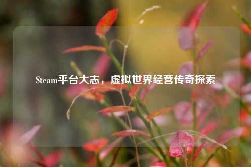 Steam平台大志，虚拟世界经营传奇探索