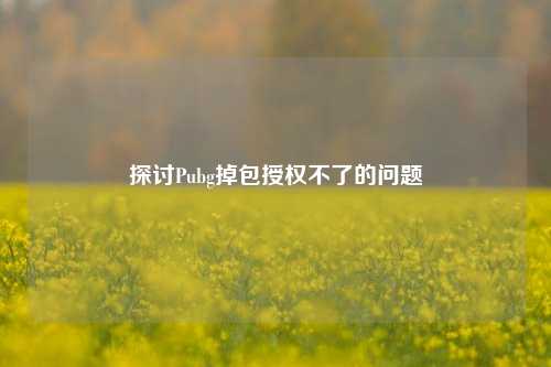 探讨Pubg掉包授权不了的问题