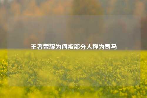 王者荣耀为何被部分人称为司马