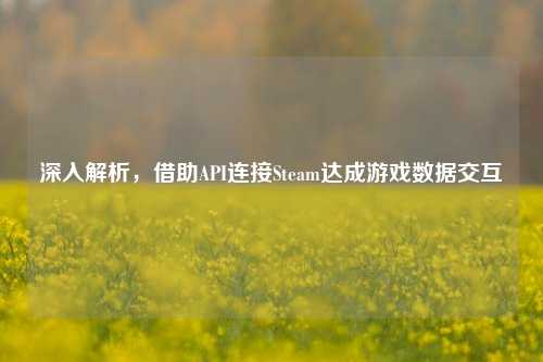 深入解析,借助API连接Steam达成游戏数据交互