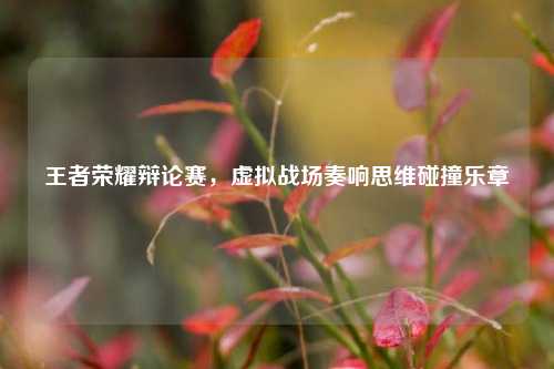 王者荣耀辩论赛,虚拟战场奏响思维碰撞乐章