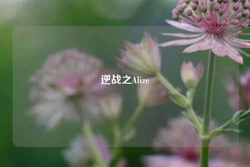 逆战之Alize