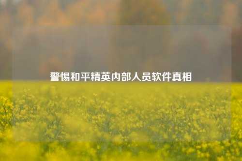 警惕和平精英内部人员软件真相