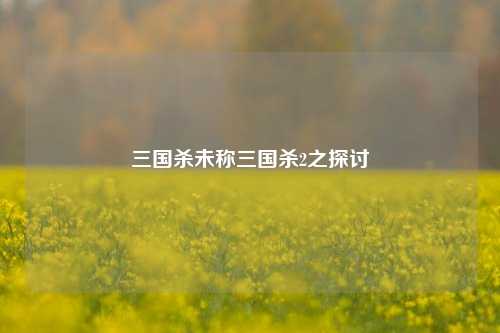 三国杀未称三国杀2之探讨