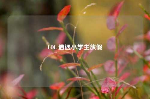 LOL 遭遇小学生放假