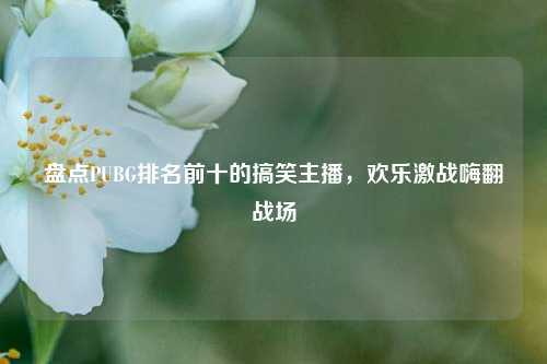 盘点PUBG排名前十的搞笑主播,欢乐激战嗨翻战场