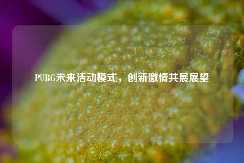 PUBG未来活动模式，创新激情共展展望