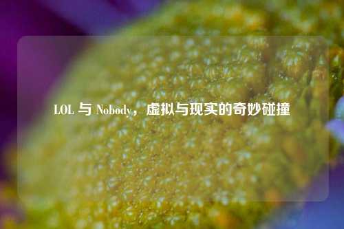 LOL 与 Nobody，虚拟与现实的奇妙碰撞