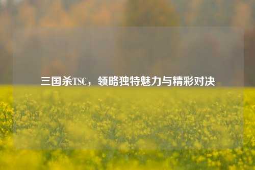 三国杀TSC,领略独特魅力与精彩对决