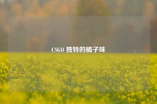 CSGO 独特的橘子味