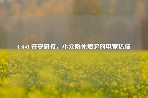 CSGO 在安哥拉，小众群体燃起的电竞热情