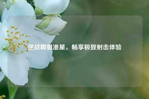 逆战瞬狙准星，畅享极致射击体验