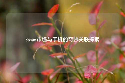 Steam市场与手机的奇妙关联探索