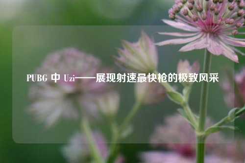 PUBG 中 Uzi——展现射速最快枪的极致风采