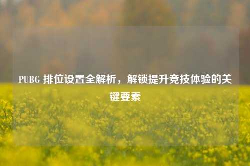 PUBG 排位设置全解析,解锁提升竞技体验的关键要素