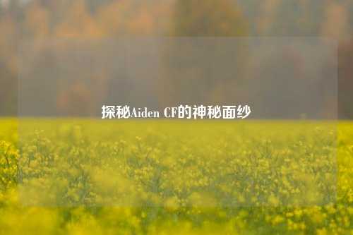 探秘Aiden CF的神秘面纱