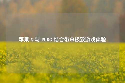 苹果 X 与 PUBG 结合带来极致游戏体验