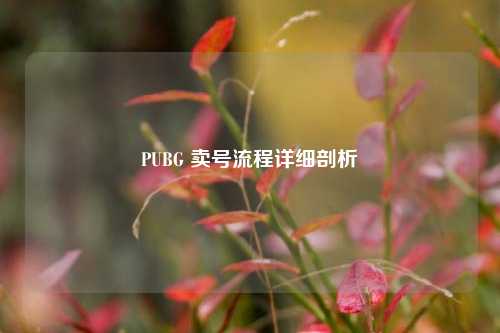 PUBG 卖号流程详细剖析
