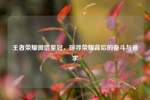 王者荣耀微信皇冠,探寻荣耀背后的奋斗与追求