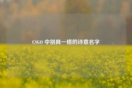 CSGO 中别具一格的诗意名字