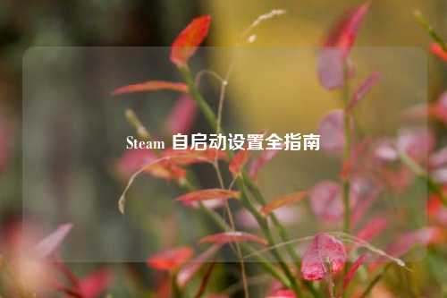 Steam 自启动设置全指南