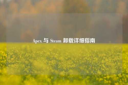 Apex 与 Steam 卸载详细指南