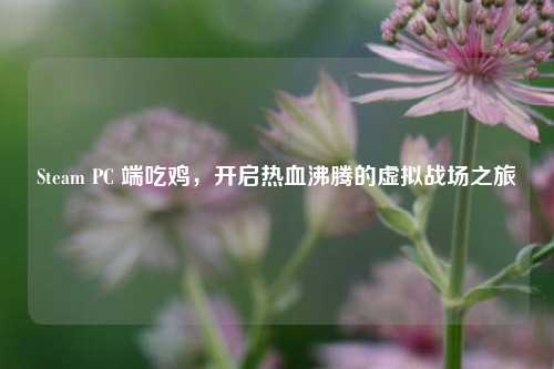 Steam PC 端吃鸡,开启热血沸腾的虚拟战场之旅