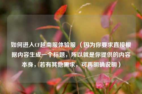 如何进入CF越南服体验服 (因为你要求直接根据内容生成一个标题,所以就是你提供的内容本身,若有其他需求,可再明确说明)