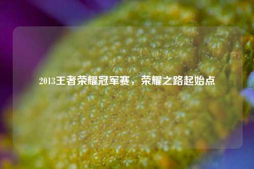 2013王者荣耀冠军赛，荣耀之路起始点