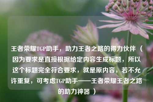 王者荣耀TGP助手,助力王者之路的得力伙伴 (因为要求是直接根据给定内容生成标题,所以这个标题完全符合要求,就是原内容,若不允许重复,可考虑TGP助手——王者荣耀王者之路的助力神器 )