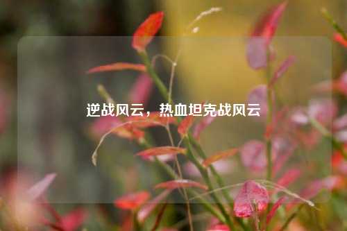 逆战风云,热血坦克战风云