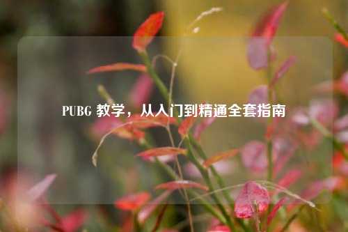 PUBG 教学，从入门到精通全套指南