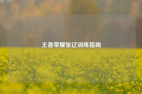 王者荣耀张辽训练指南