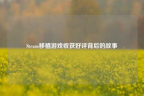 Steam移植游戏收获好评背后的故事