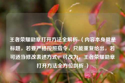 王者荣耀勋章打开方法全解析 （内容本身就是标题，若要严格按照指令，只能重复给出，若可适当修改表述方式，可改为，王者荣耀勋章打开方法全方位剖析 ）