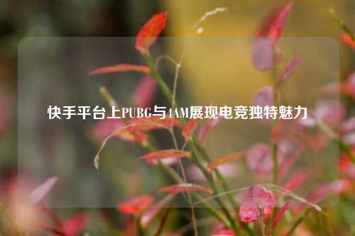 快手平台上PUBG与4AM展现电竞独特魅力