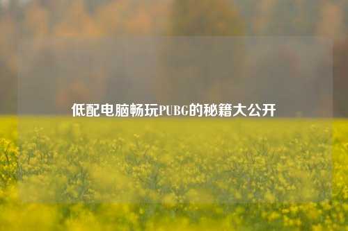 低配电脑畅玩PUBG的秘籍大公开