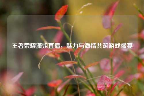 王者荣耀潇姐直播，魅力与激情共筑游戏盛宴