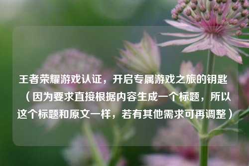 王者荣耀游戏认证,开启专属游戏之旅的钥匙 (因为要求直接根据内容生成一个标题,所以这个标题和原文一样,若有其他需求可再调整)