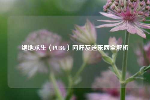 绝地求生（PUBG）向好友送东西全解析
