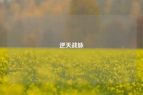 逆天战脉