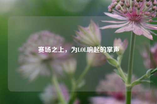 赛场之上，为LOL响起的掌声